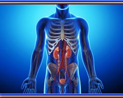 Slider image (9) Dr. Gautam Banga | Consultant Urologist and Andrologist